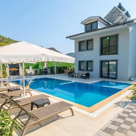 Villa Detached With Private Pool In Inlice *