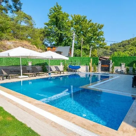 Vila Detached With Private Pool In Inlice